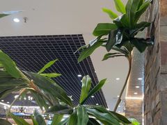 -寻牛记潮汕牛肉火锅(双喜城店)
