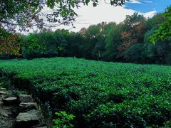 -虞山风景区