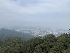 -紫金山山顶公园