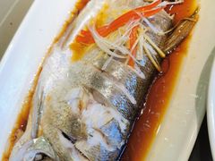 -苏城小院·园林精致苏州菜(斜塘老街店)