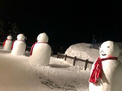 -长白山万达喜来登度假酒店