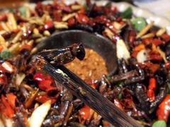 -紫滇源云南生态菜(丹凤街店)