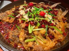-老板恋上鱼(高新万达店)