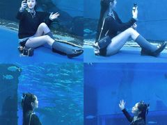 -哈尔滨波塞冬海底世界