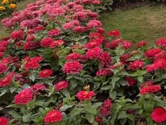 -上海浦江郊野公园-2号停车场