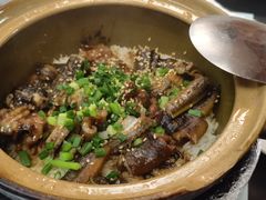 -红星光发煲仔饭(文海店)