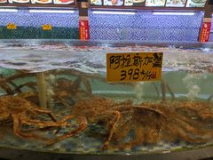 -顺德了能馆(虎门店)