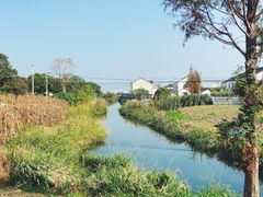 -阳澄湖半岛旅游度假区