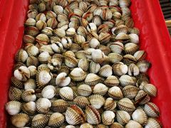 -J Daeng Seafood
