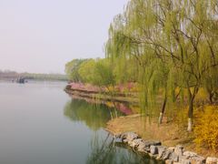 -大兴滨河森林公园