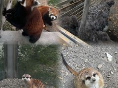 -水上乐园·欢乐世界