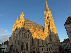 -斯蒂芬主教座堂(Stephansdom)