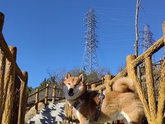 -白水寺森林公园