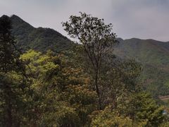 -宁波五龙潭景区