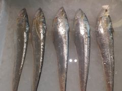 -莆鑫海鲜城(浏河店)