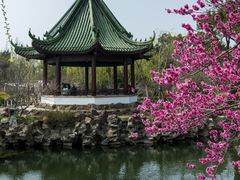 -无锡蠡湖国家湿地公园-蠡园