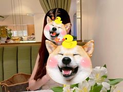 -蝶舍·MAISON PAPILLON