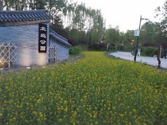 -北坞公园