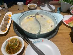 -青瓷火锅料理(西单大悦城店)