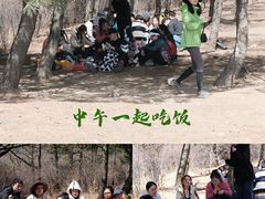 -阳台山自然风景区