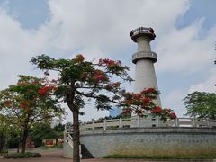 -中澳友谊花园