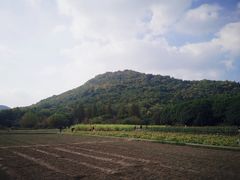 -八卦田遗址公园