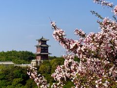 -泰山风景名胜区