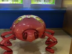 -上海昆虫博物馆