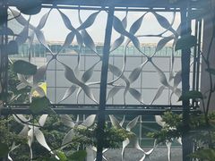 -樟宜机场皇冠假日酒店 （SG Clean） - IHG 旗下酒店