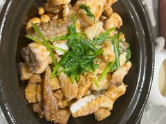 -朱记乳鸽王·非遗石岐乳鸽·全鸽宴(大兴旗舰店)