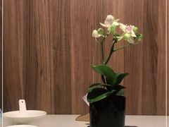 店内布置-钟菜·粤菜点心·宴请(海上世界·汇港二期店)