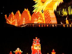 -长鹿旅游休博园