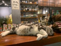 -咖法森林·咖啡  酒吧(天河店)