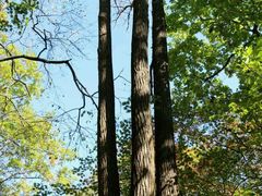 -丹东天桥沟景区