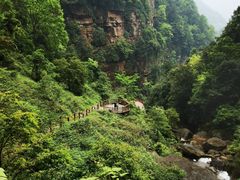 -赤水丹霞旅游区·佛光岩