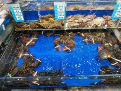 -船家渔(徐州北路店)