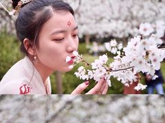 -南山植物园