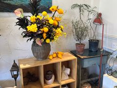 -青莯_Percher Coffee Shop(皮市街店)
