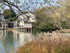 -新荣记(西溪湿地店)