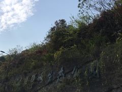 -西湖风景区-江洋畈生态公园