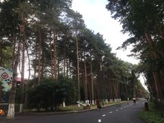 -黑龙江省森林植物园
