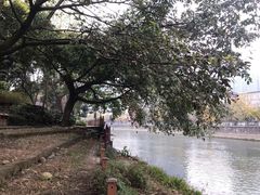 -成都市活水公园