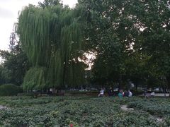 -睦南公园