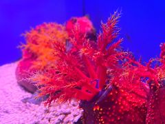 -上海海洋水族馆