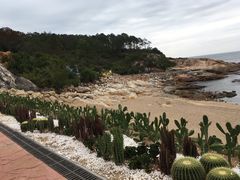 -广东惠东海龟国家级自然保护区