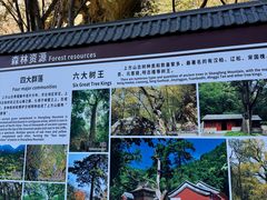 -北京上方山国家森林公园