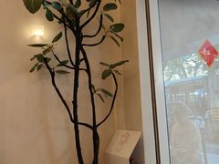 -小团圆糖水铺(襄阳南路店)