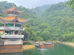 -鼎湖山风景区