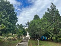 -北京西山国家森林公园