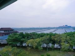 -大湾区中央湿地公园